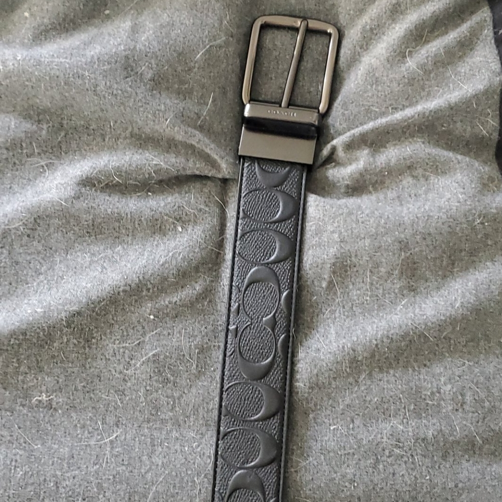 Belt
